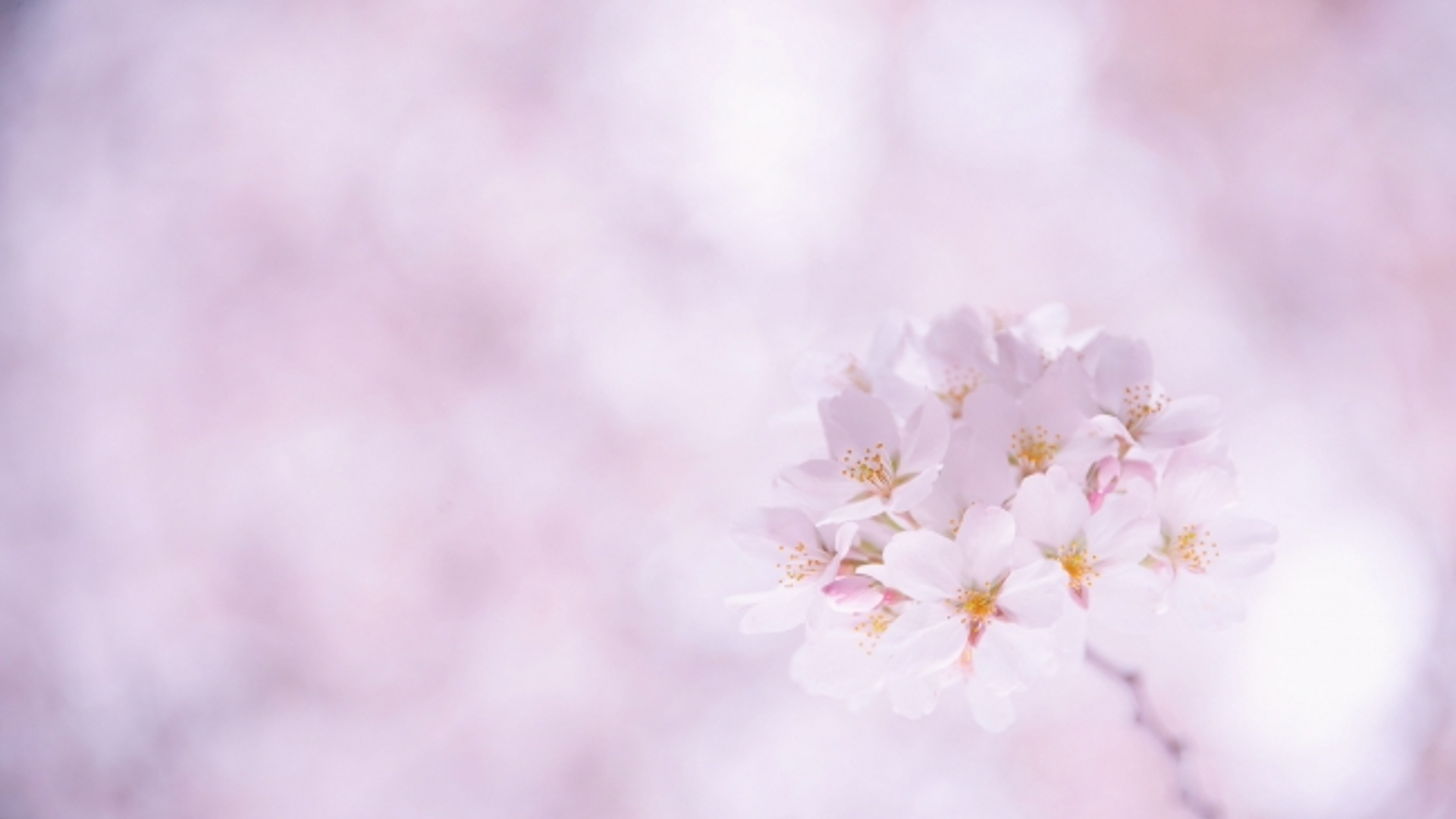 Karbič graficno oblikovanje zemlja